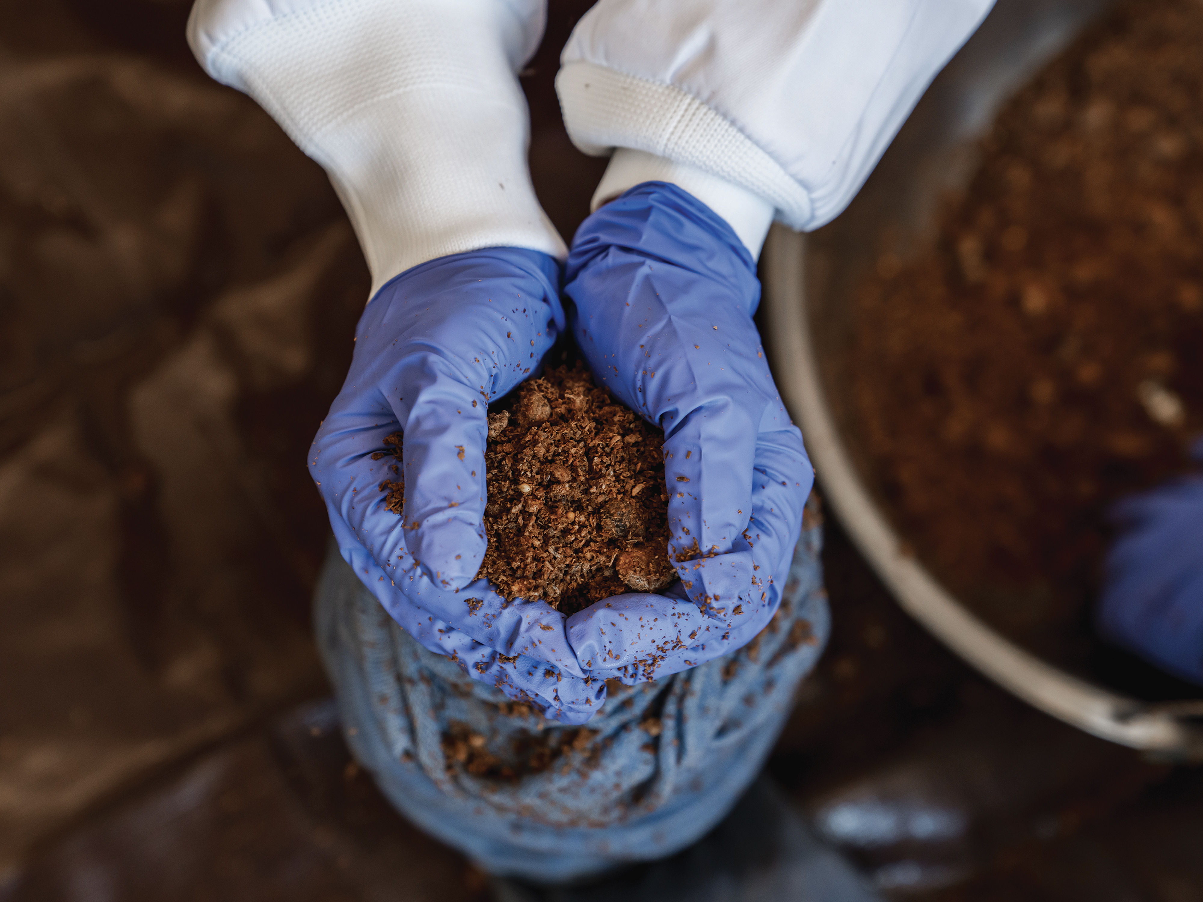 hands holding dirt